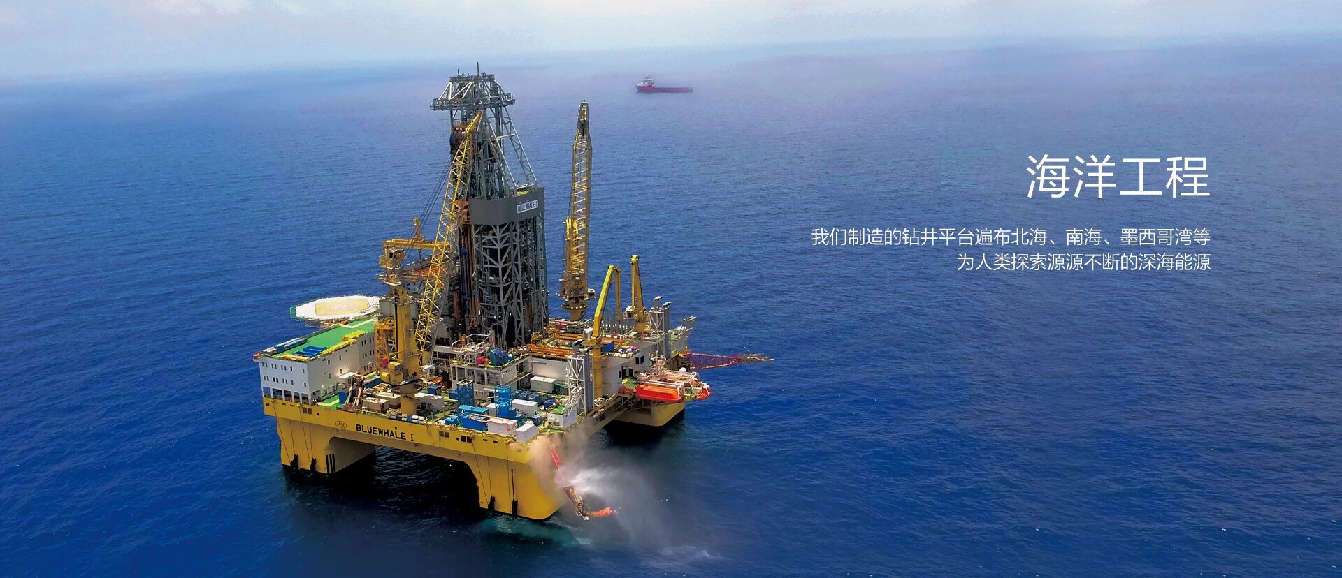 亚星管理平台集团